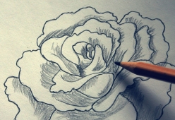 670px-Shade-a-Flower-Rose-when-Drawing-With-a-Graphite-Pencil-Step-1
