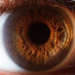 eye