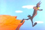 wile-e-coyote-cliff